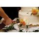 CakePro - Sütemény díszítő szett