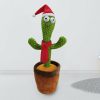 DanceCacti - Táncos játék