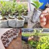 Lookgrow palántazsák készlet - 1000db