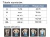 SlimBody ? Férfi alakformáló atléta , Fehér , XXL