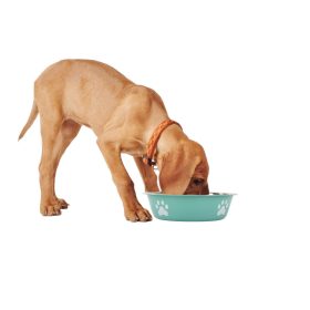 Rozsdamentes acél kisállat tál 400ml - zöld