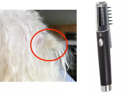 Elektromos háziállat kefe