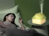 Házikó alakú párásító, 1l - zöld