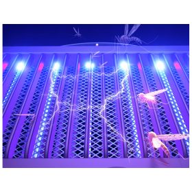 Akkumulátoros UV rovarölő lámpa