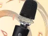Hordozható akkumulátoros bluetooth karaoke készlet fényjátékkal