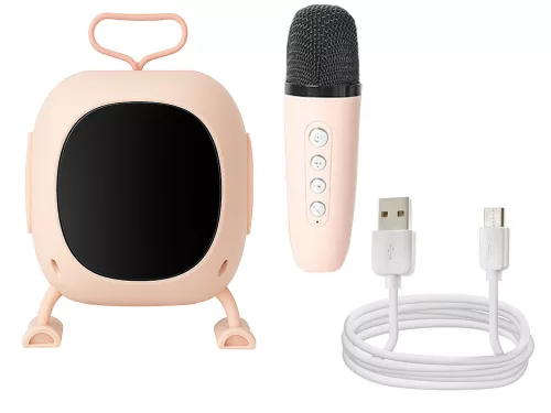 Hordozható akkumulátoros bluetooth karaoke készlet fényjátékkal