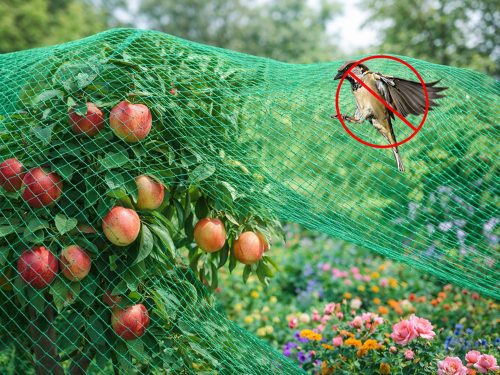 Madár elleni kerti védőháló, zöld - 14x8m