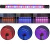 Palántanövesztő lámpa 20 LED-es - kétágú