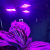 108 LED-es növény nevelő lámpa * állítható dőlésszöggel, 2 világítási móddal