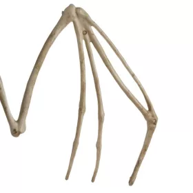 Dekorációs denevér csontváz - 30cm