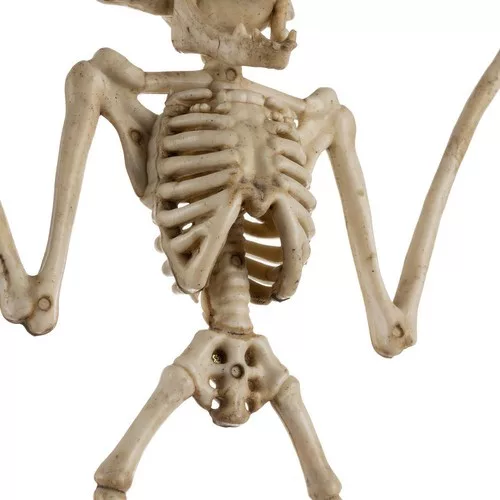 Dekorációs denevér csontváz - 30cm