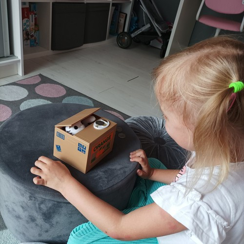 Érmetolvaj persely - cica