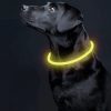 Állítható LED nyakörv - 20-70cm