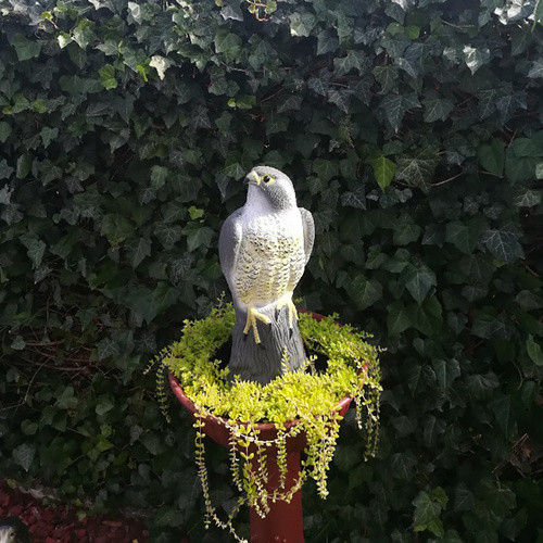 Sólyom madárriasztó - 17,5x17,5x40cm