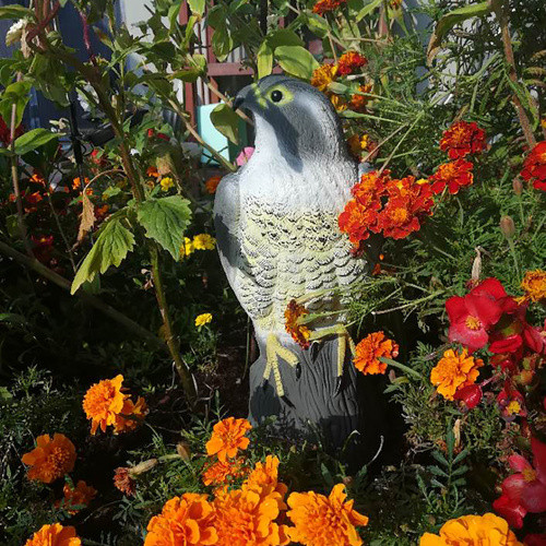 Sólyom madárriasztó - 17,5x17,5x40cm