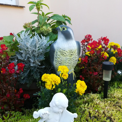 Sólyom madárriasztó - 17,5x17,5x40cm