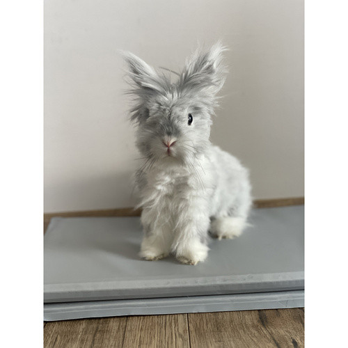 Kisállat zselés hűtőszőnyeg 90x50x1,5cm - szürke