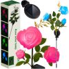 Napelemes színes LED rózsa lámpa - 80cm
