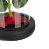 Örökrózsa burában meleg fehér LED fénnyel - 21x11cm