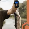 Kampós mérleg LCD kijelzővel - 50kg/10g