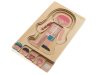 Fa réteges puzzle montessori testépítő fiú fiú