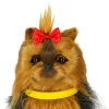Interaktív játék kutya - yorkie